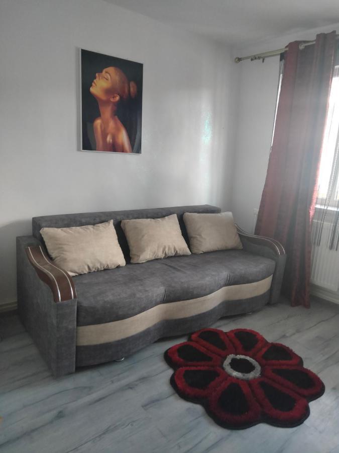 Apartament Geo Nehoiu Bagian luar foto