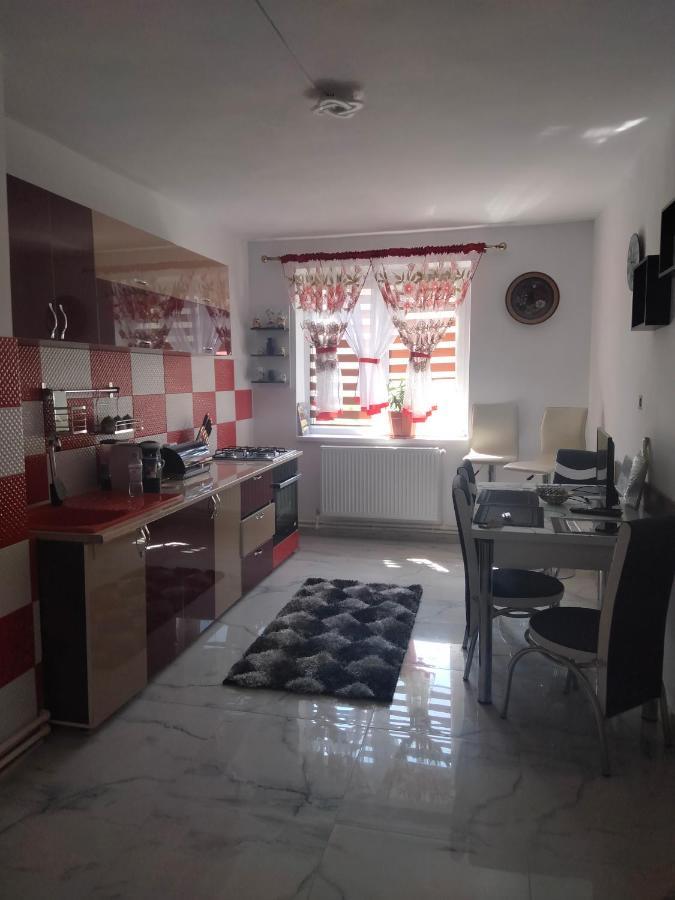 Apartament Geo Nehoiu Bagian luar foto