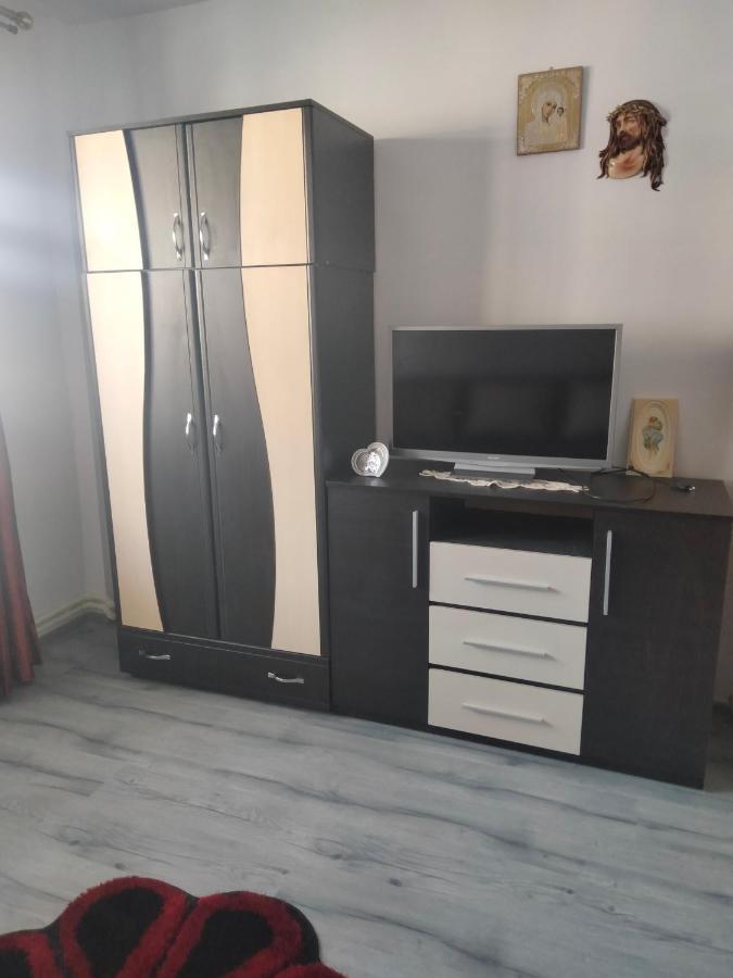 Apartament Geo Nehoiu Bagian luar foto