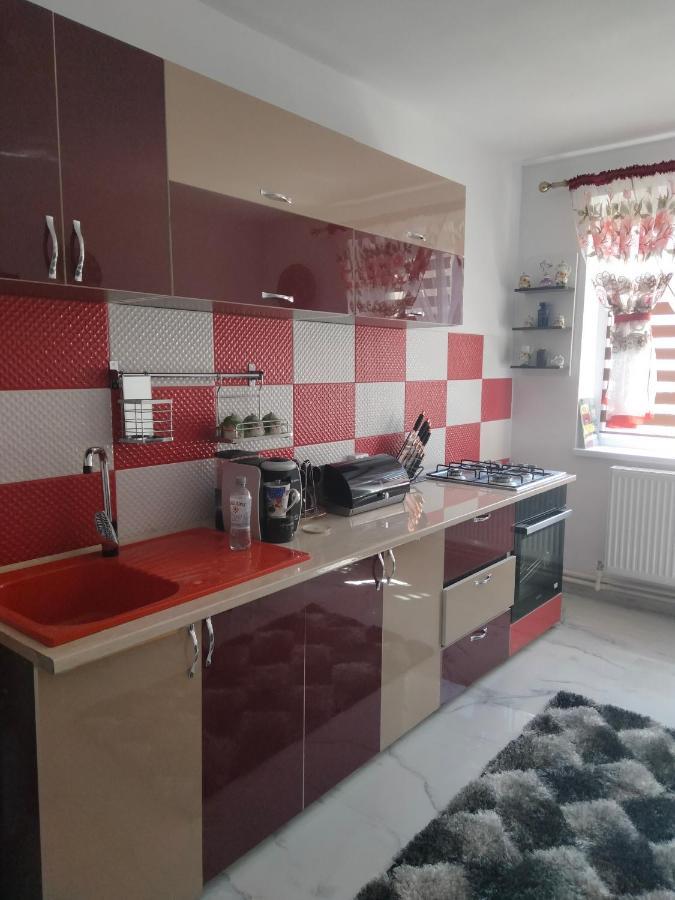 Apartament Geo Nehoiu Bagian luar foto