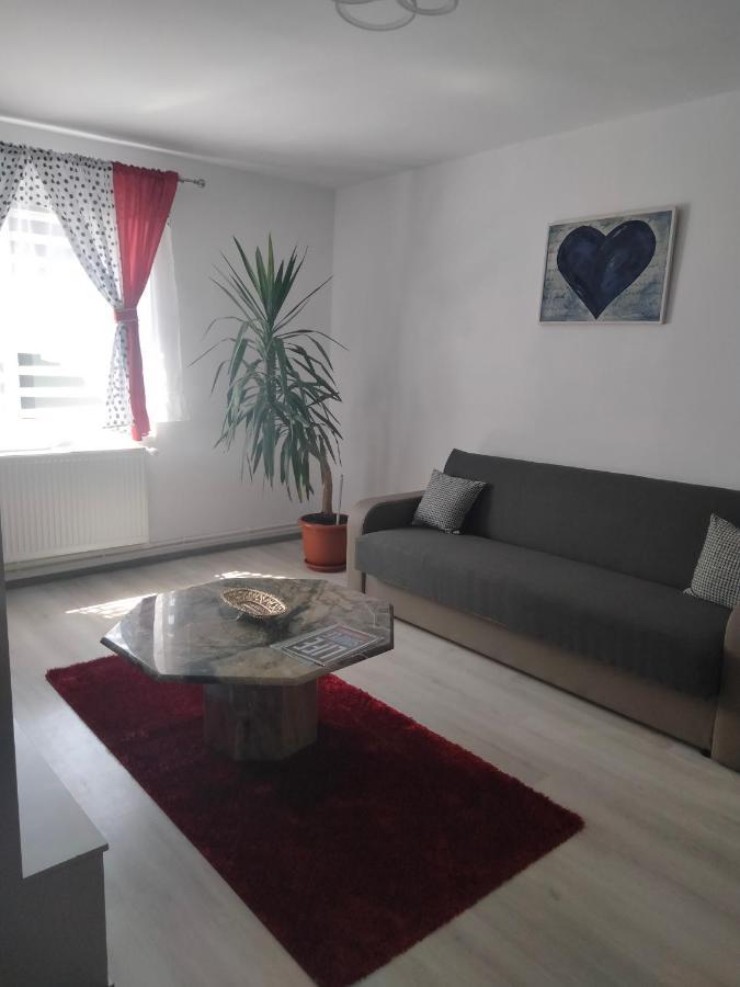 Apartament Geo Nehoiu Bagian luar foto