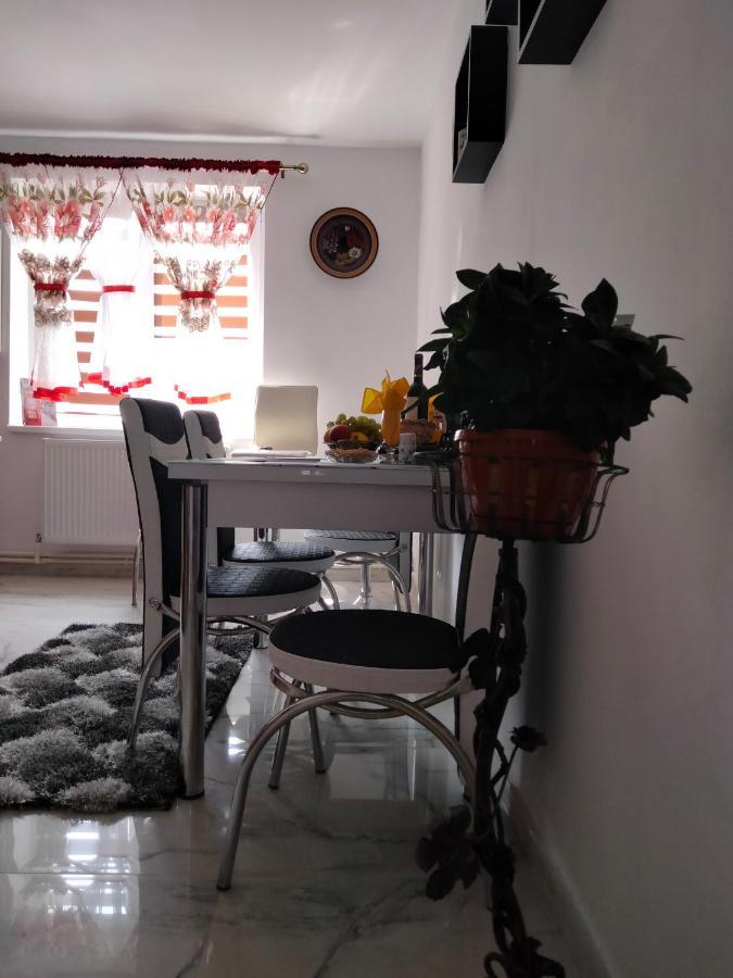 Apartament Geo Nehoiu Bagian luar foto