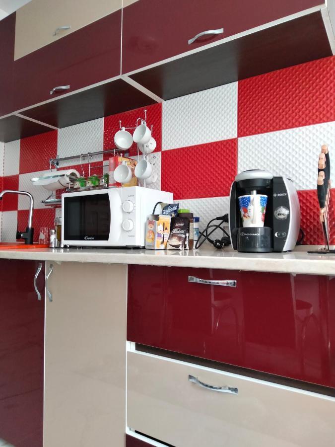 Apartament Geo Nehoiu Bagian luar foto