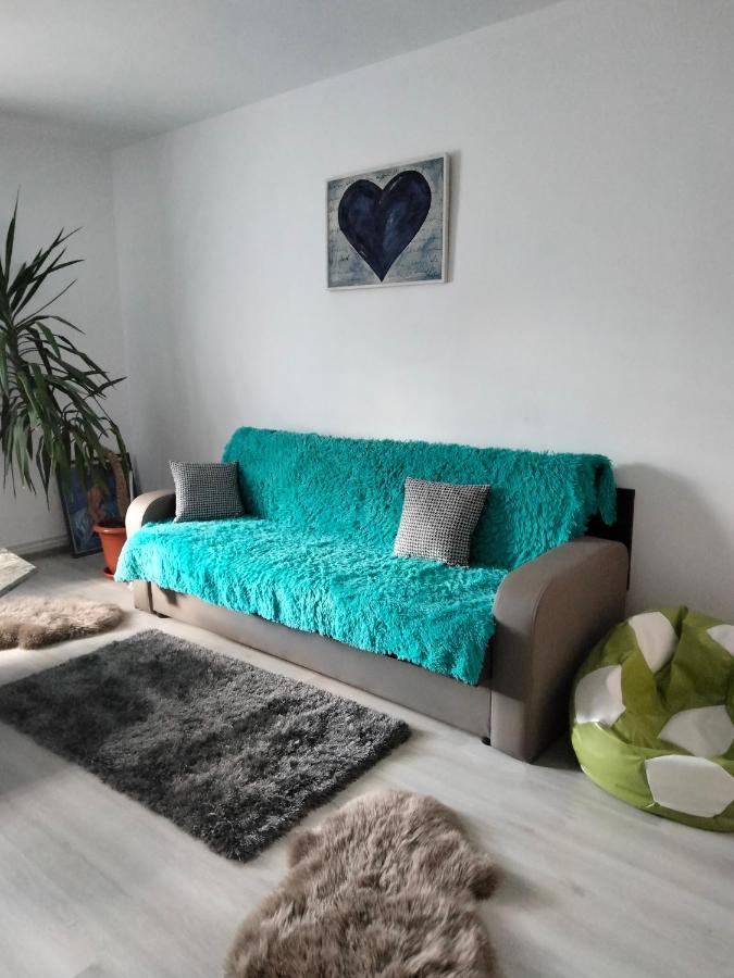 Apartament Geo Nehoiu Bagian luar foto