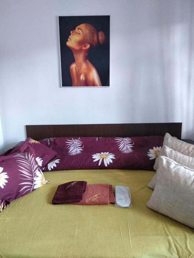 Apartament Geo Nehoiu Bagian luar foto