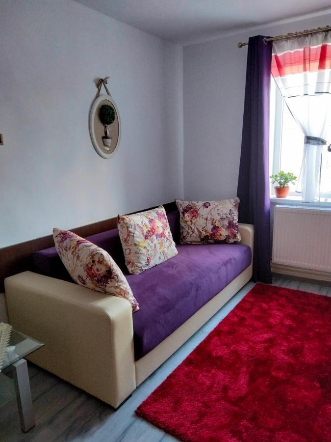 Apartament Geo Nehoiu Bagian luar foto
